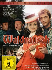 Waldrausch Cover