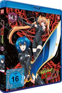 Highschool DxD New - Vol. 2 Cover