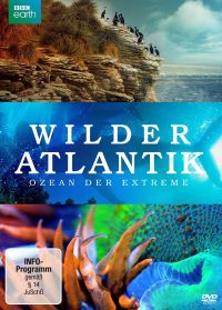 DVD Wilder Atlantik - Ozean der Extreme