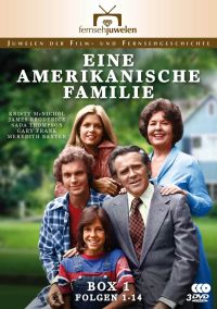 DVD Eine amerikanische Familie - Box 1 (Folgen 1-14)