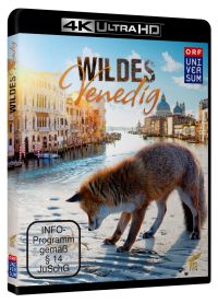 DVD Wildes Venedig (4K Ultra HD)