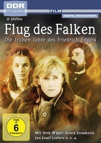 Flug des Falken Cover