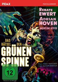 Das Rtsel der grnen Spinne Cover