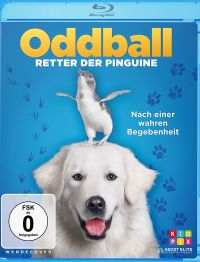 DVD Oddball - Retter der Pinguine 