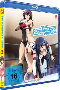 Wanna be the Strongest in the World - Vol.2 Cover