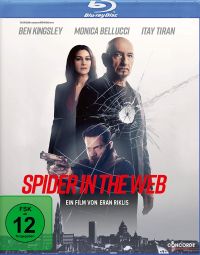 DVD Spider in the Web 