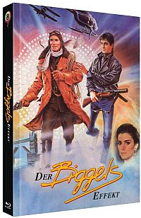 Der Biggels Effekt  Cover