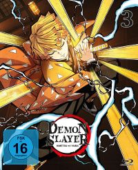 Demon Slayer: Kimetsu no Yaiba - Staffel 1 - Vol. 3 Cover
