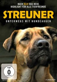 Streuner - Unterwegs mit Hundeaugen  Cover