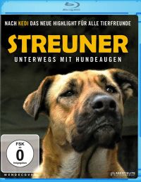 DVD Streuner - Unterwegs mit Hundeaugen 