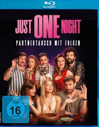 Just One Night  Partnertausch mit Folgen  Cover