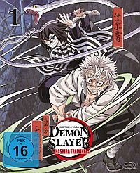 Cover Demon Slayer -Kimetsu no Yaiba- Hashira Training Arc - Vol. 1