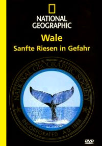 DVD National Geographic - Wale: Sanfte Riesen in Gefahr