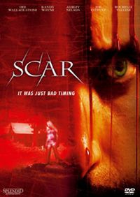Scar  It was just Bad Timing Cover
