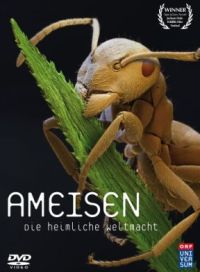 DVD Ameisen - Die heimliche Weltmacht