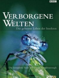 Verborgene Welten - Das geheime Leben der Insekten Cover