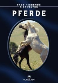 Pferde Cover