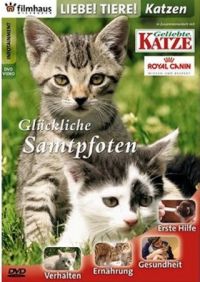 Liebe Tiere! - Katzen  Cover