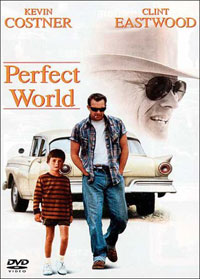Perfect World Cover