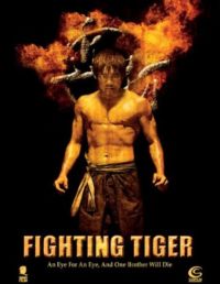DVD Fighting Tiger