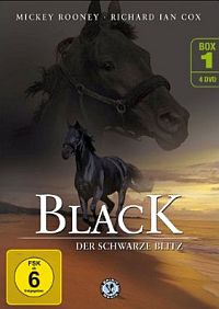 DVD Black, der schwarze Blitz - Box 1