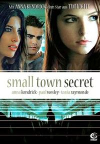 Small Town Secret Cover