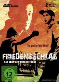 DVD Friedensschlag: Das Jahr der Entscheidung