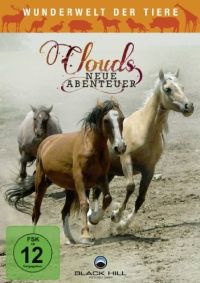 DVD Wunderwelt der Tiere - Clouds neue Abenteuer