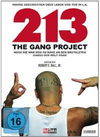 213 - The Gang Project Cover