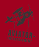 Aviator Entertainment