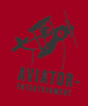 Aviator Entertainment